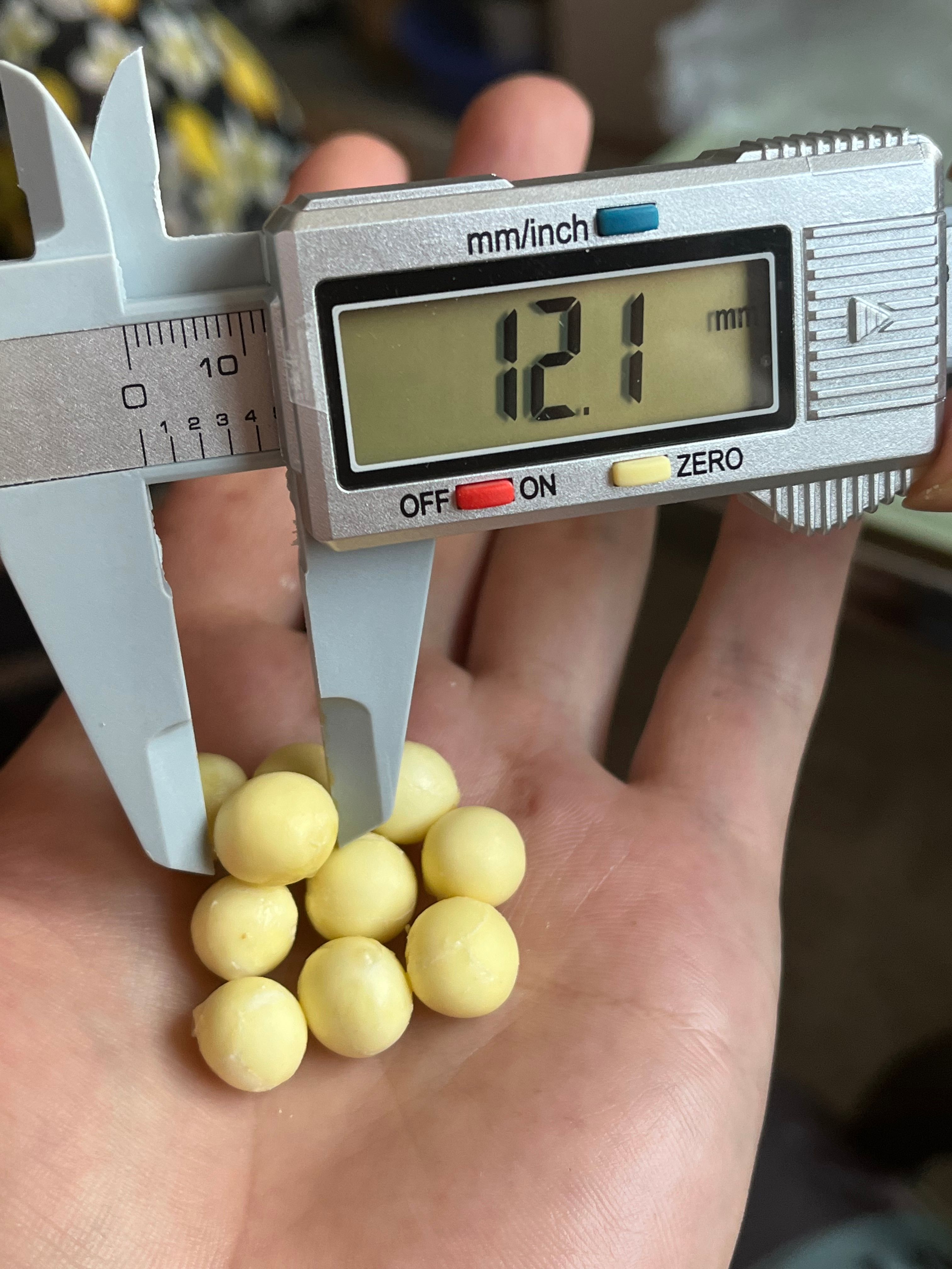 苏州手工剥鸡头米，一天比一天大