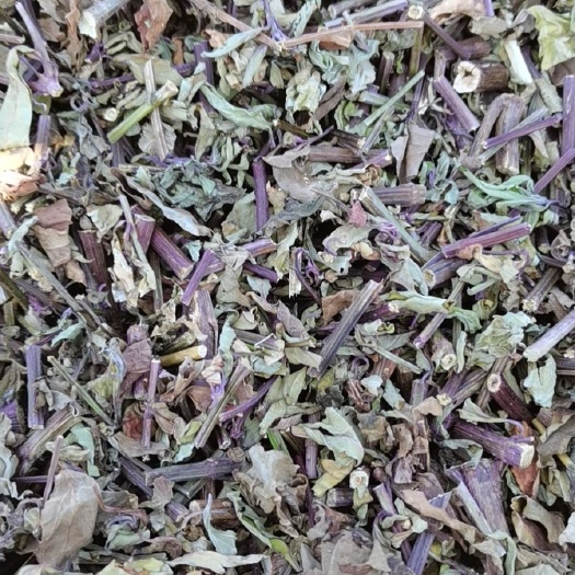 广西原产地猫须草，量大从优。