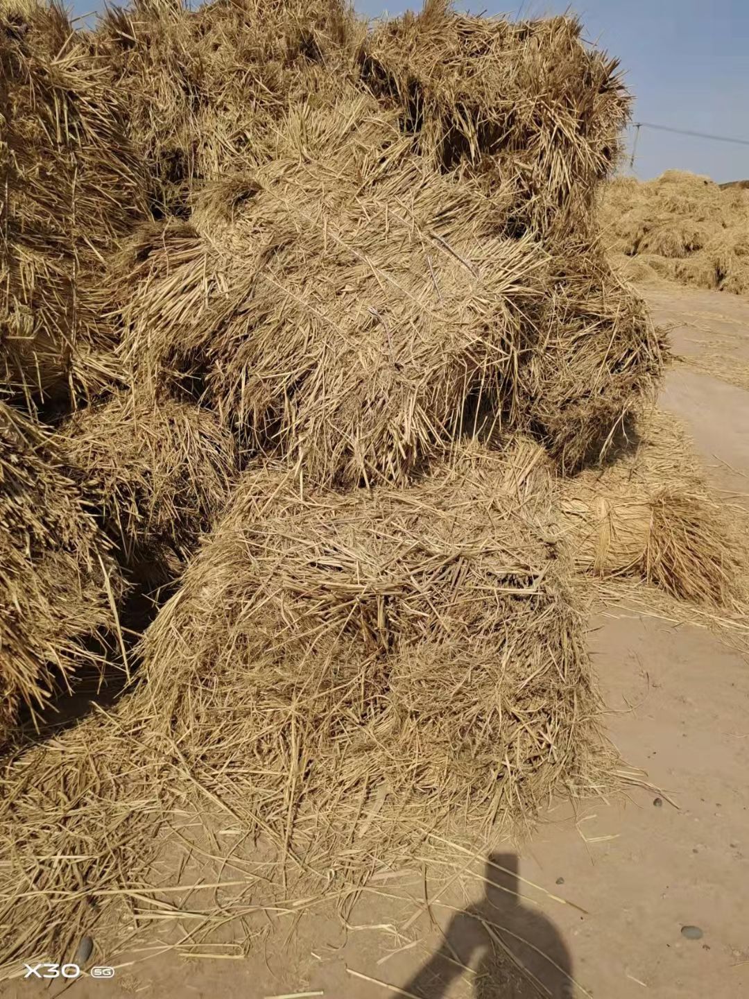 大量出售稻草