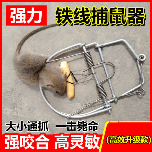 家用强力老鼠夹新款捕鼠夹加厚老鼠抓灭鼠器室内圆形铁网夹子
