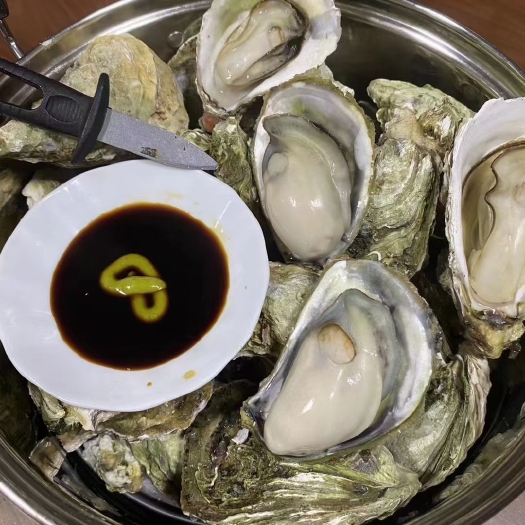诏安县生蚝  牡蛎  烧烤清蒸都可以