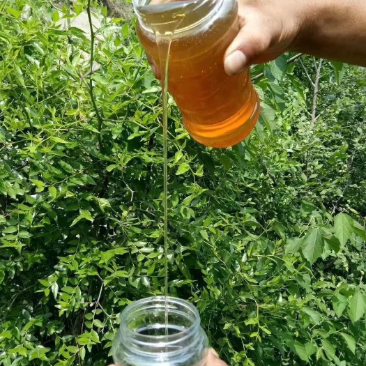 行唐县槐花蜂蜜
