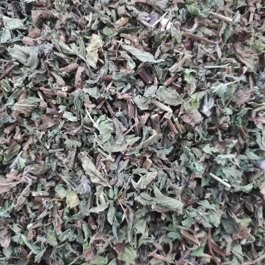 枣阳市干薄荷