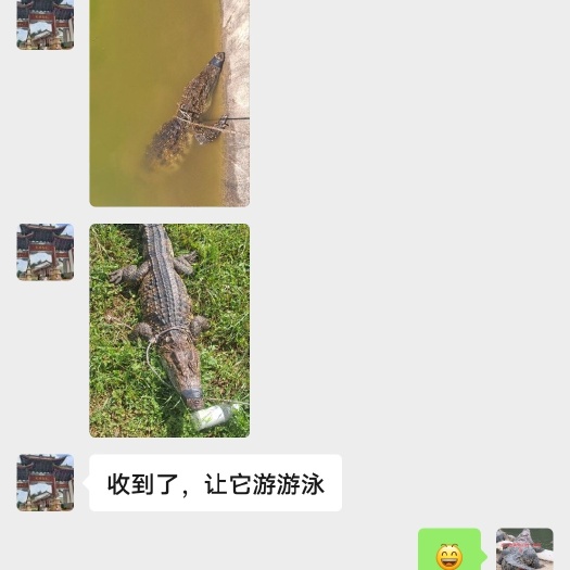 全国发货1-3天可到……