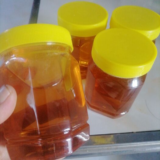 蒙阴县荆花蜜