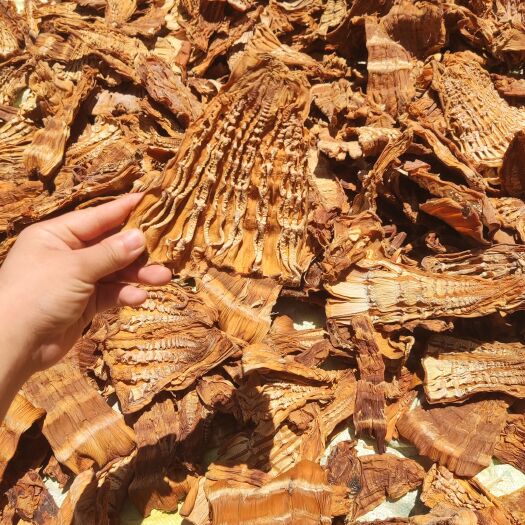 金秀县金秀大瑶山无硫磺野 生笋干