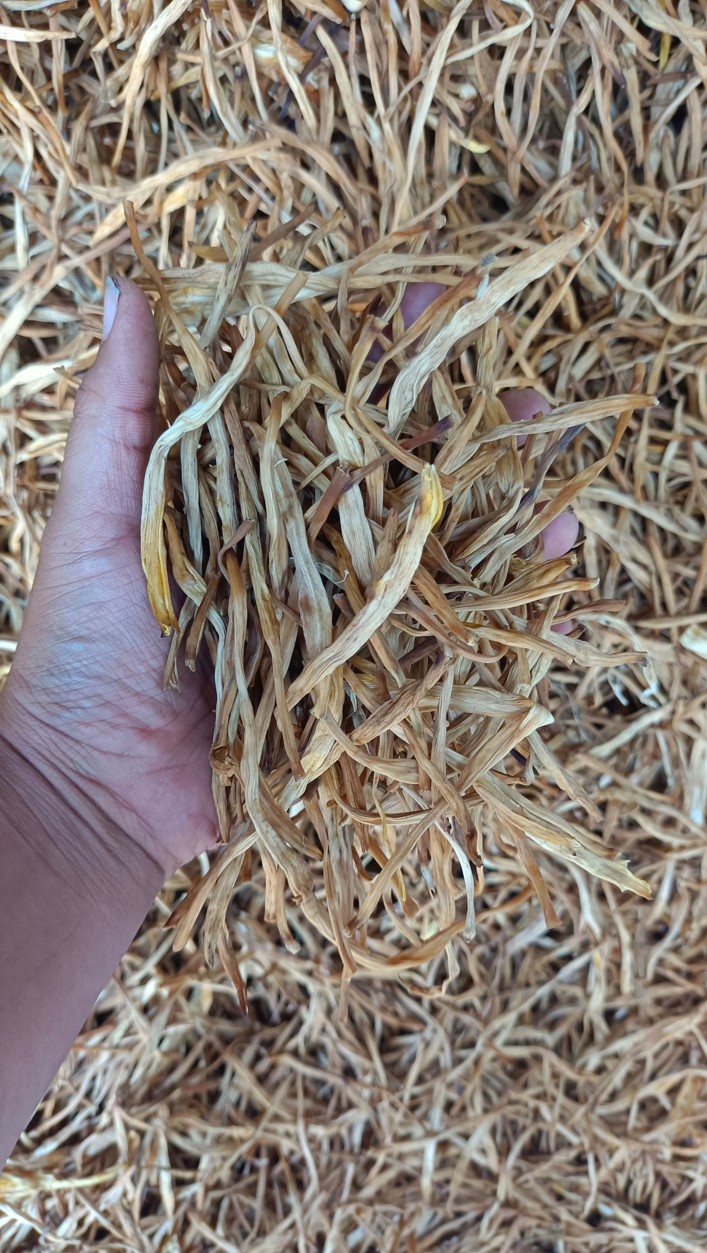 无硫干菜产地直发