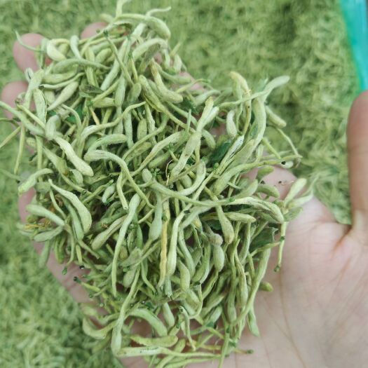 .批发金银花500克包邮花草茶金银花泡水金银花