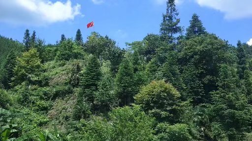 黎平县侗乡士蜂蜜