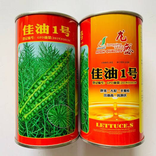 沭阳县 油菜籽种子高出油抗病抗倒杂交高产油菜种子油菜花种子厂家直销