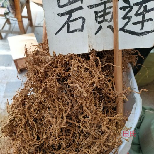 玉林广西中药材岩黄连，岩黄连根，全根，岩黄连头，今年新晒干货