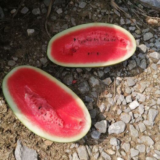 扶绥县西瓜