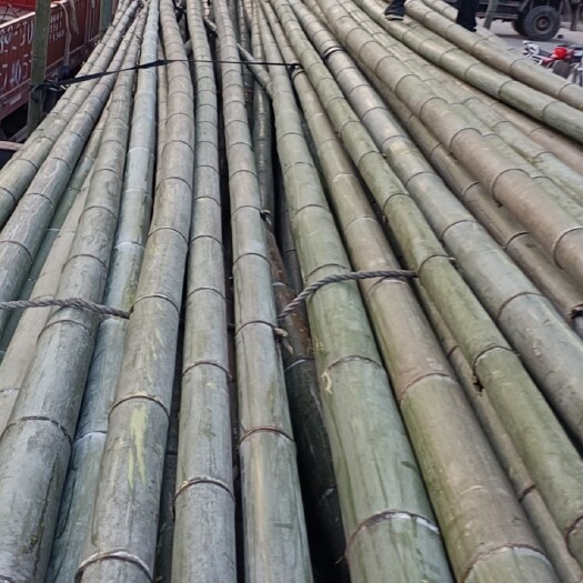 水富市楠竹，毛竹，大量销售规格20---50周长，长度10-20