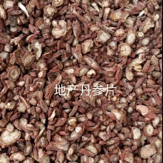 紫花丹参  中药材丹参 地产丹参片、山东丹参片