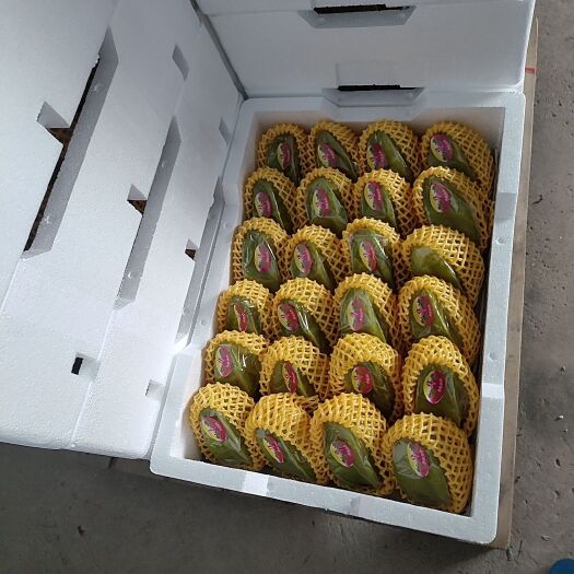 南靖县漳州南靖杨桃