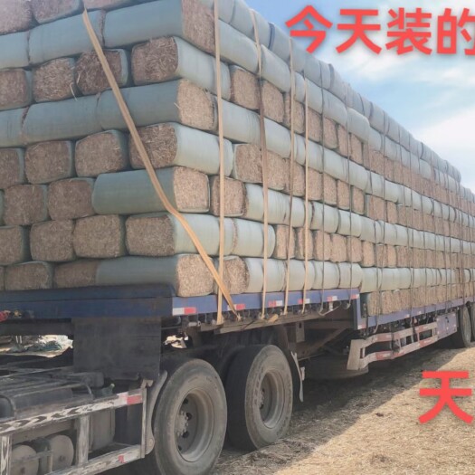 临泉县二次除尘柔丝小套袋