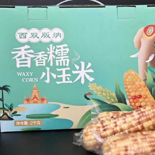 昆明糯玉米 西双版纳香糯玉米  4斤礼盒装