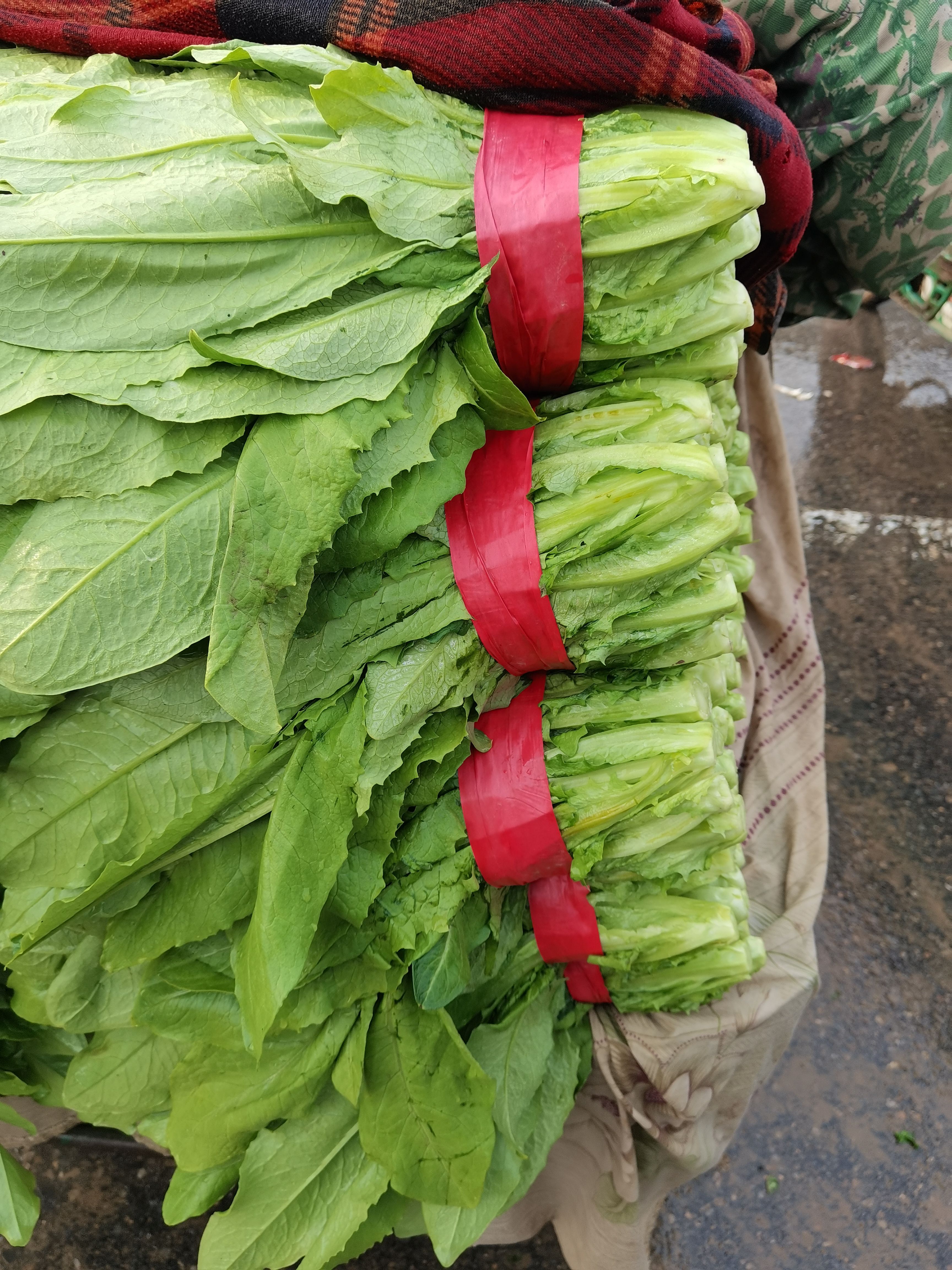 本地油麦菜有，粗，中，细颗都有，颜色绿，货源充足，价格美丽