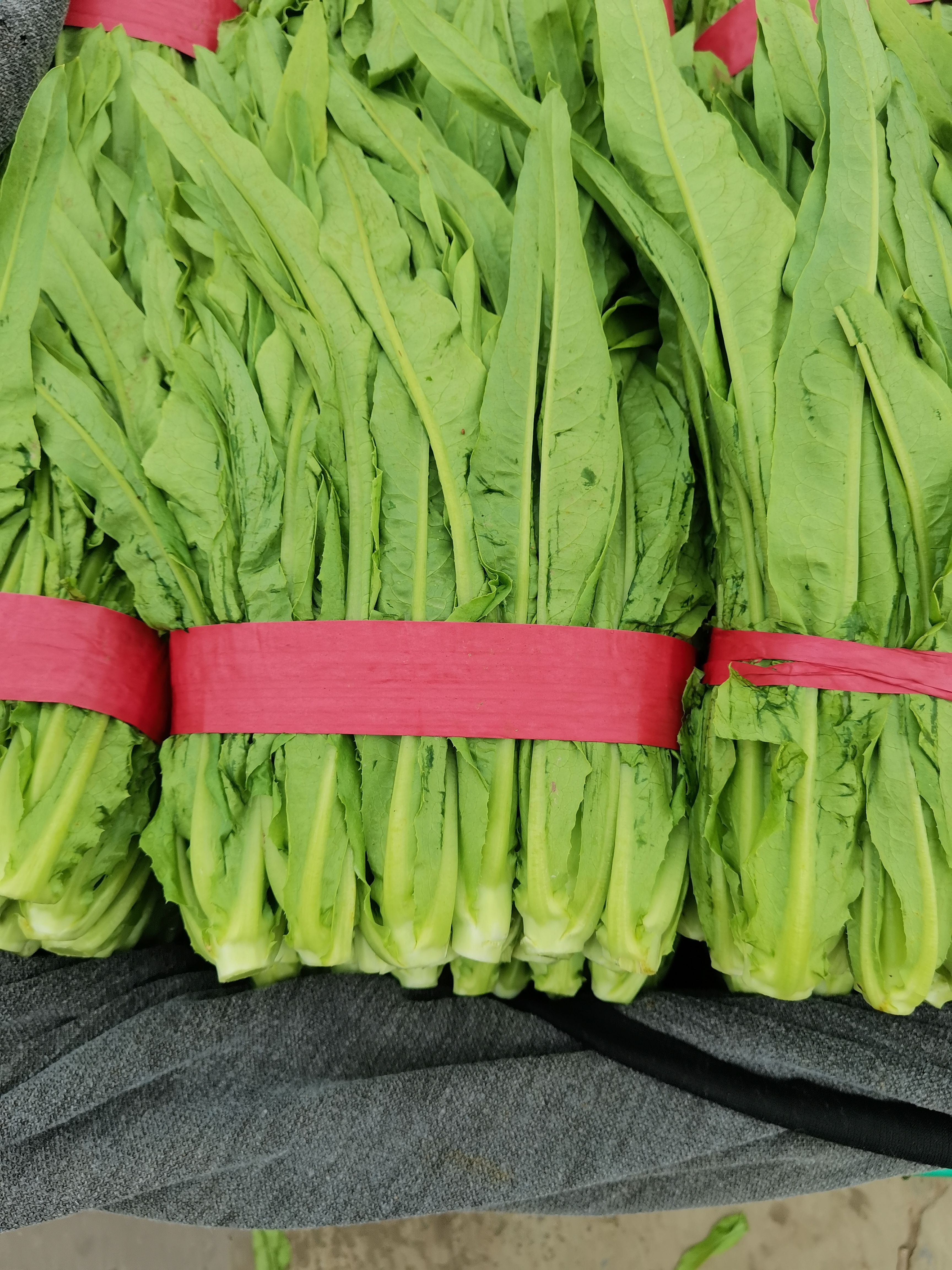 本地油麦菜有，粗，中，细颗都有，颜色绿，货源充足，价格美丽