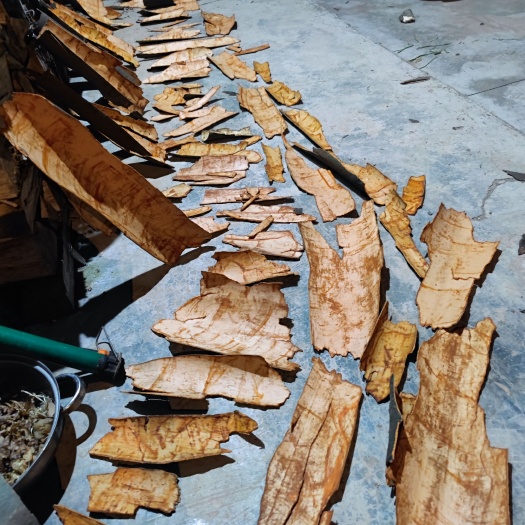 长阳县湖北桂皮，需要的联系我