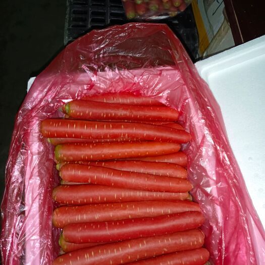 重庆市秤杆红萝卜  品种有水果红萝卜，中条，小条，高次和半截乱包。