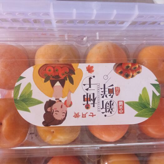大荔县柿子品种齐全，七月黄，吊红，火胡楼，富平柿子，甜柿子，太秋柿