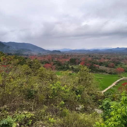 昌江县土地承包