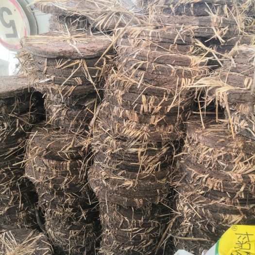 昭平县茶子枯