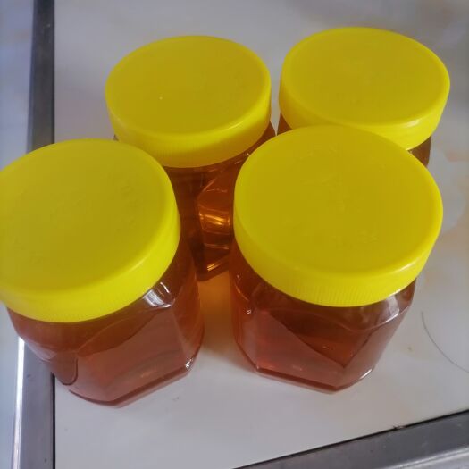 蒙阴县荆条蜜