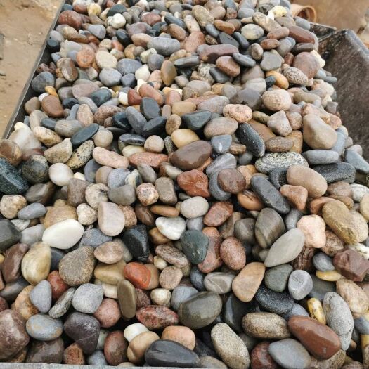 批发天然鹅卵石大量出售河卵石大石头原石公园石装饰铺石料