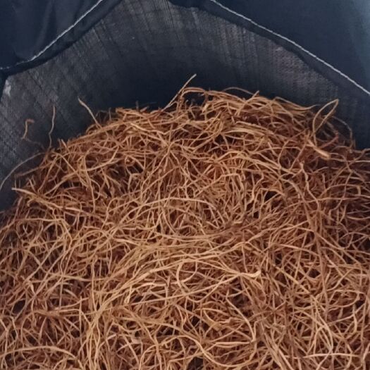 东海县红薯梗干