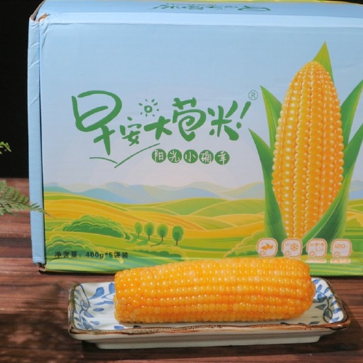 德惠市 早安大苞米 东北黄金香糯玉米 每箱10穗
