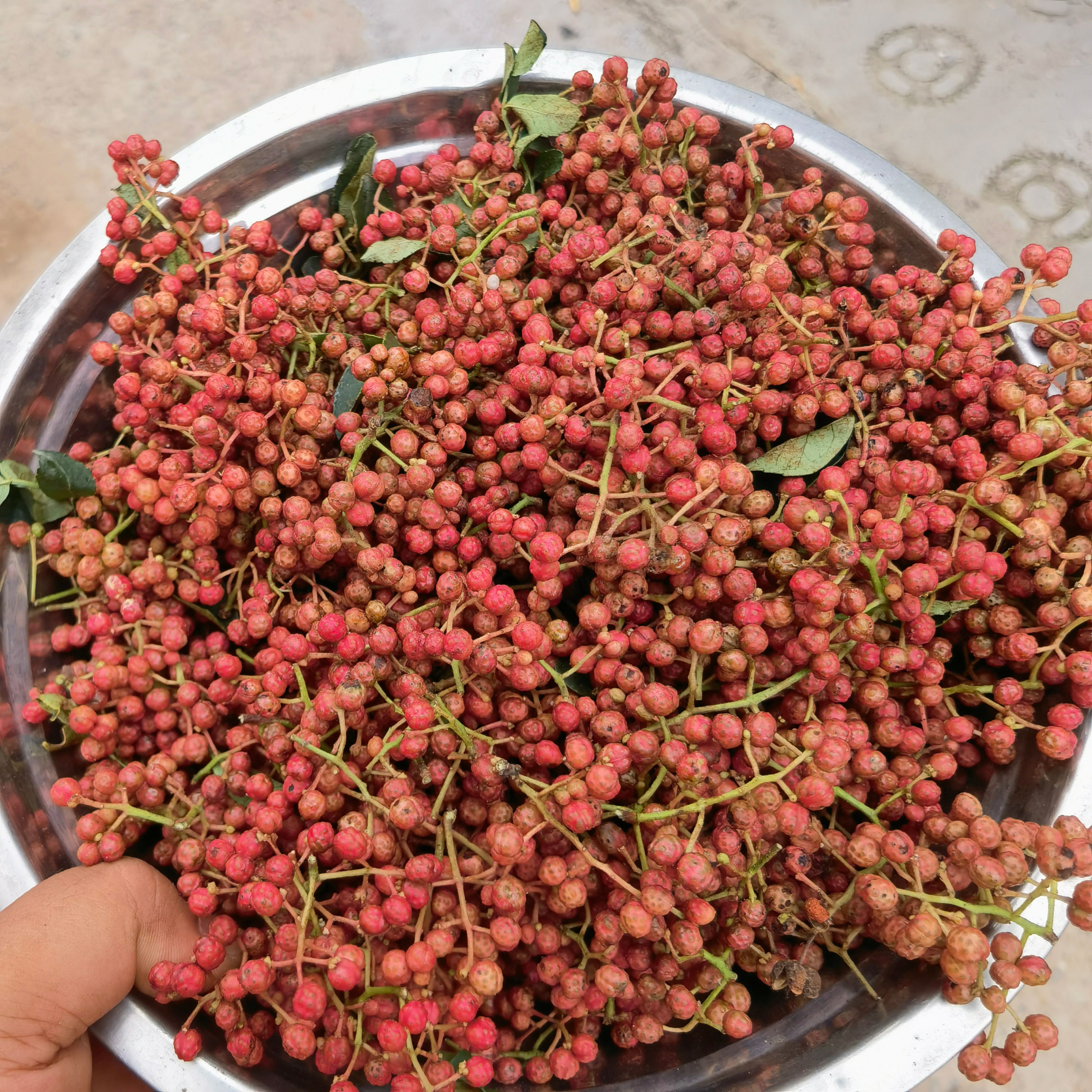 2023产新陕西韩城大红袍花椒/椒杆  自产自销