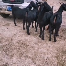 威宁县大家好我是贵州威宁县小周代办