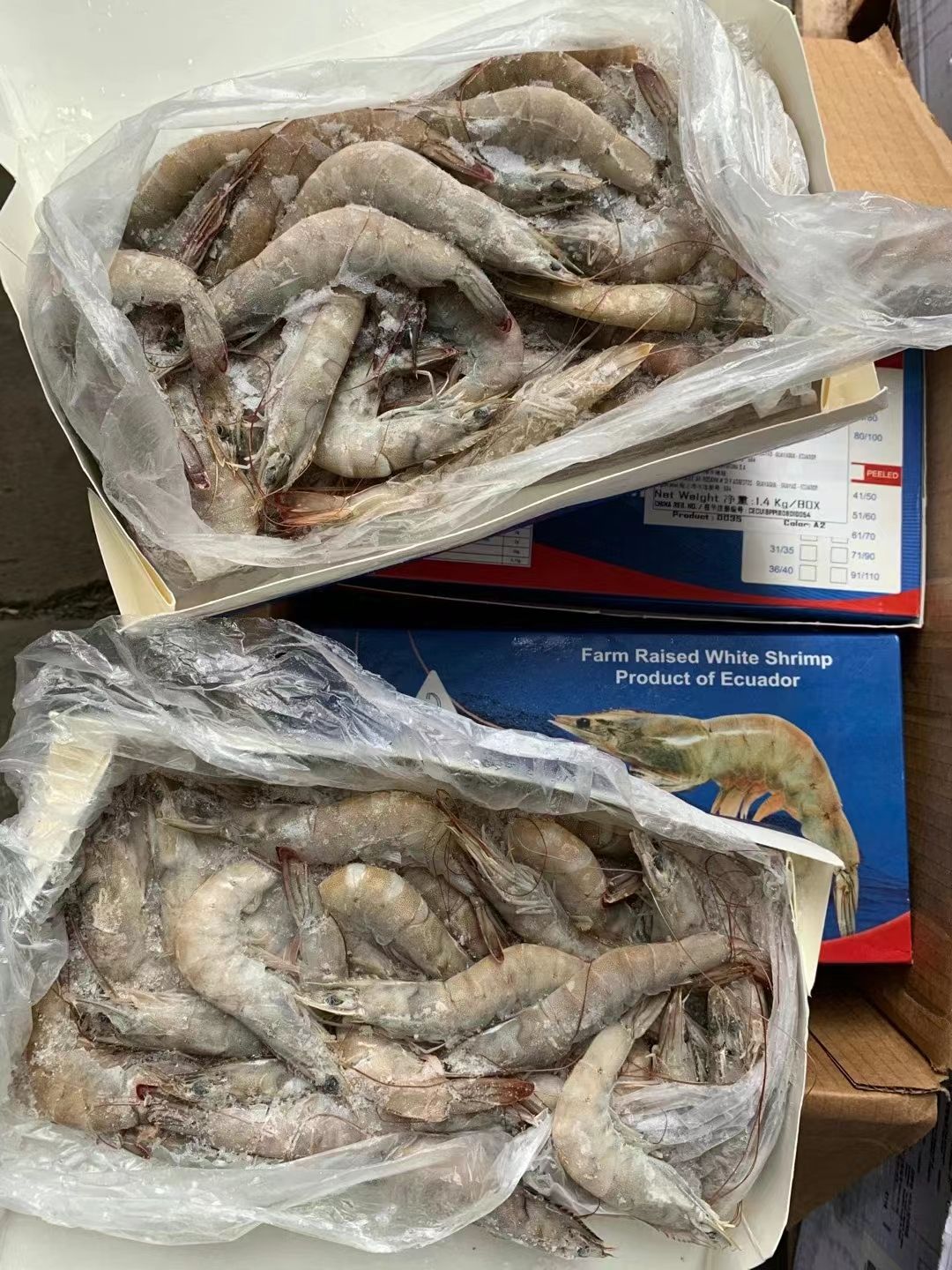 济南【水冻虾】净28斤 对虾 南美白虾 白对虾 多尔虾 大量批发
