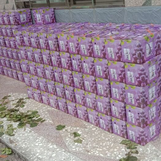 兴安县纯甜巨峰葡萄自然果，吃起来有一股葡萄味道