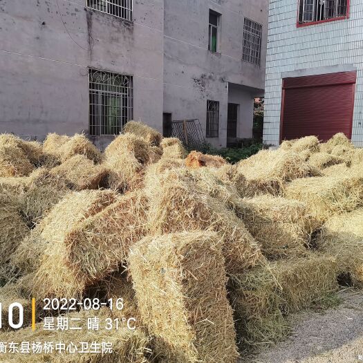 衡东县大量水稻秸秆供应，有需求的速联系