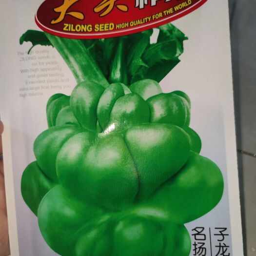 南昌大头榨菜种子，