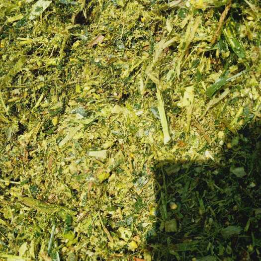 范县玉米秸秆、打包发酵、散装秸秆、产地批发