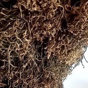 城固县大量供应干豇豆干豆角干四季豆全国发货欢迎订购