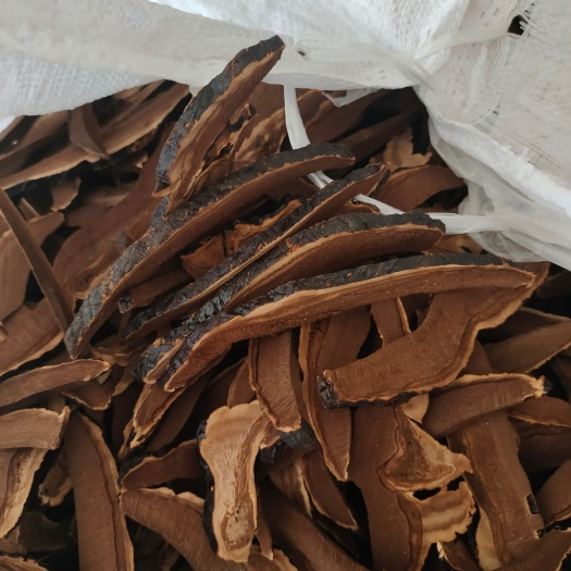 金寨县灵芝.灵芝片手工切片