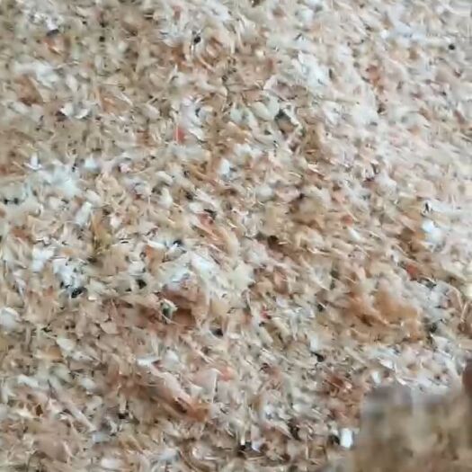 滨州对虾糠