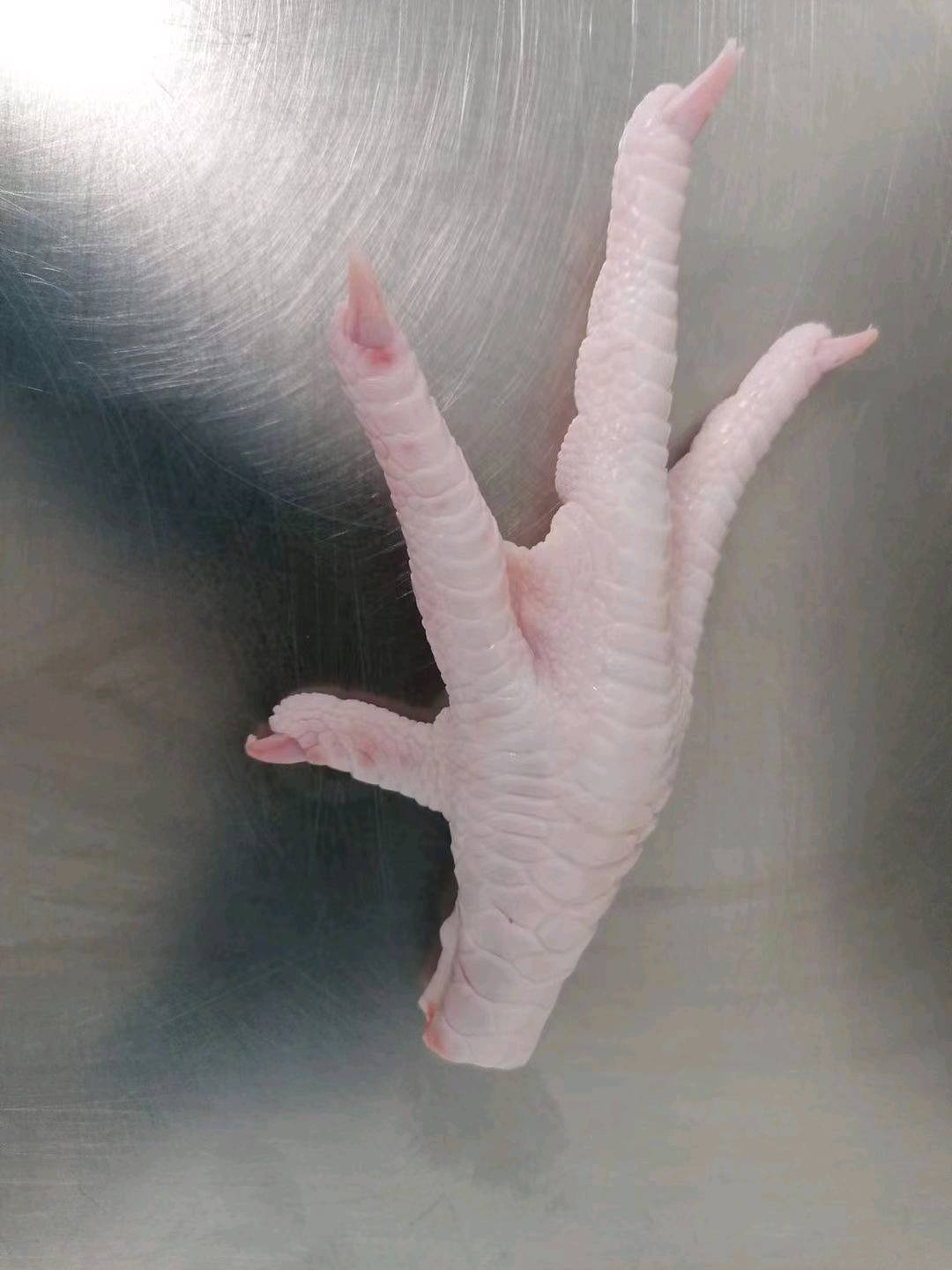 鸡爪