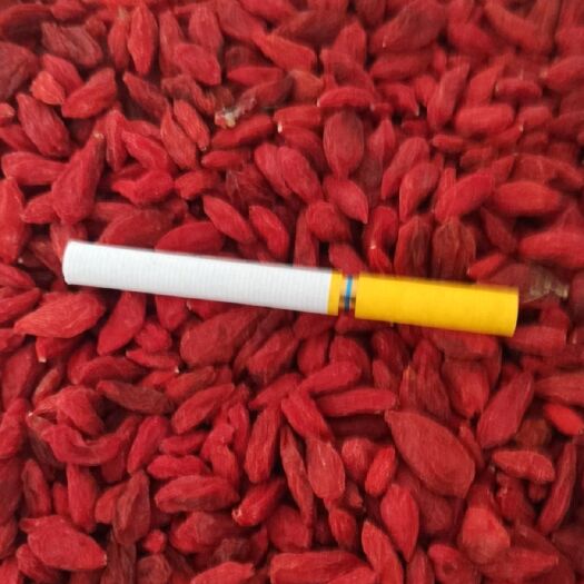 玉门市这是一茬到三岔的