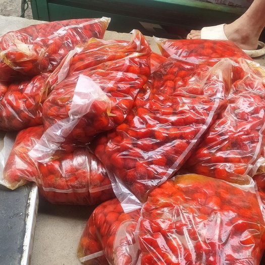 重庆市红泡椒  正宗老坛泡椒  泡红灯笼椒辣香味十足