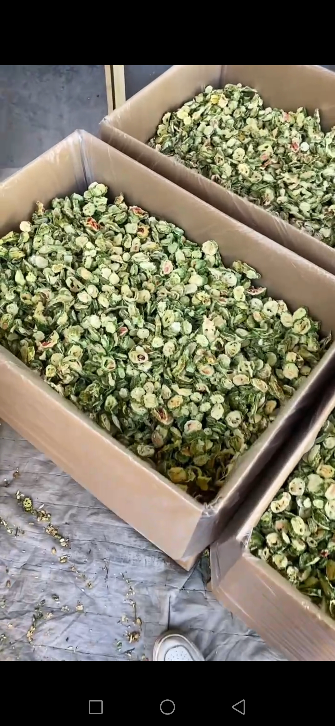 寿光市学章农业发展有限公司