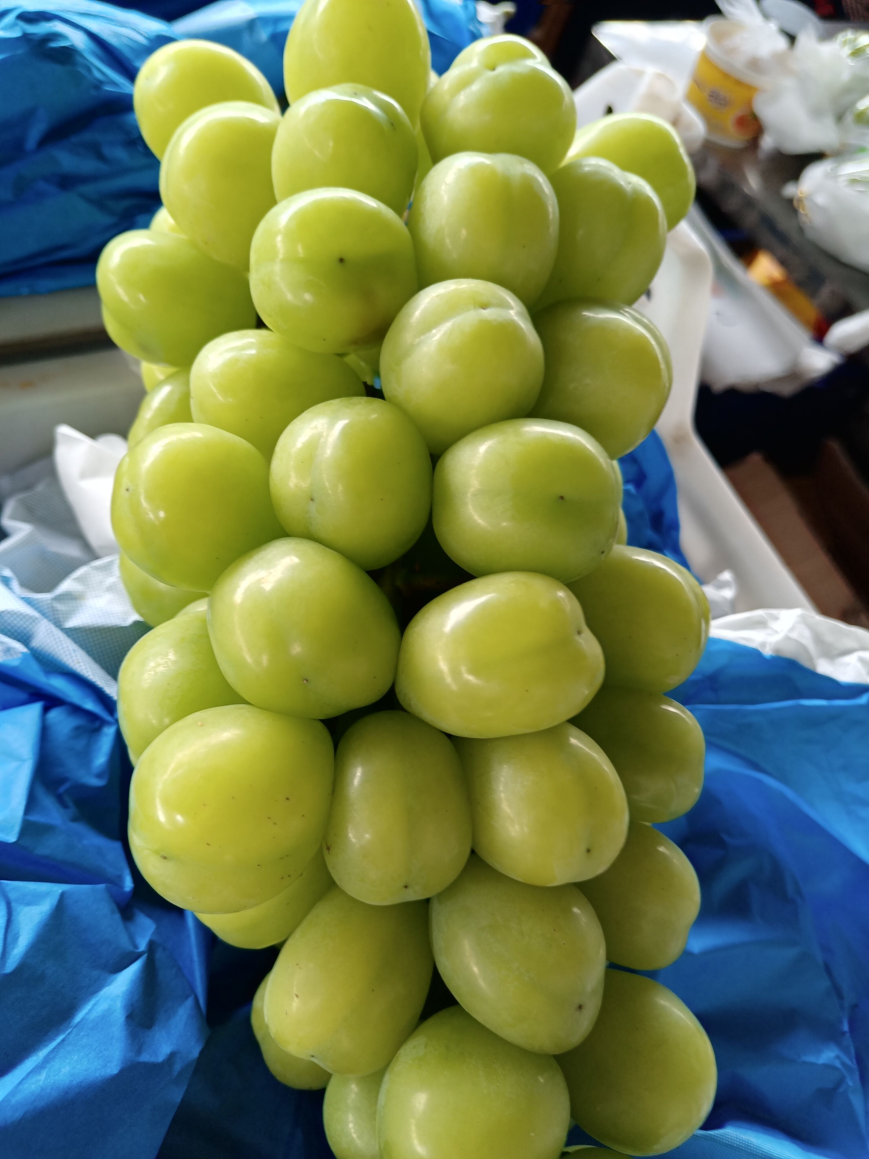 湖南常德澧县阳光玫瑰大量供应，产区一手货源