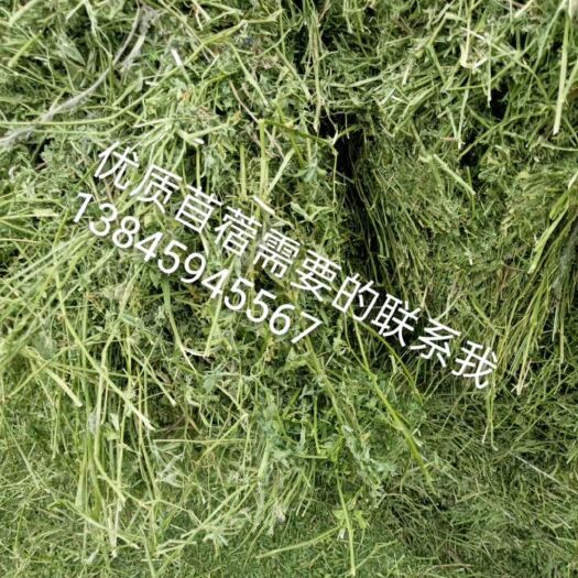 杜尔伯特苜蓿草饲料