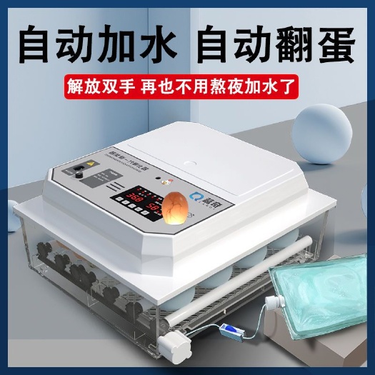 丽水全自动孵化机家用