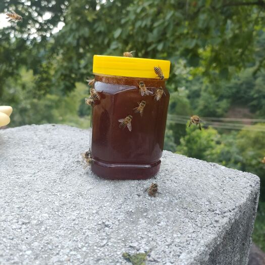 康县土蜂蜜